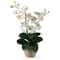 25" Cream Double Phalaenopsis Silk Orchid Flower Arrangement in Ceramic Pot